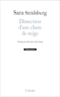 Dissection d'une chute de neige